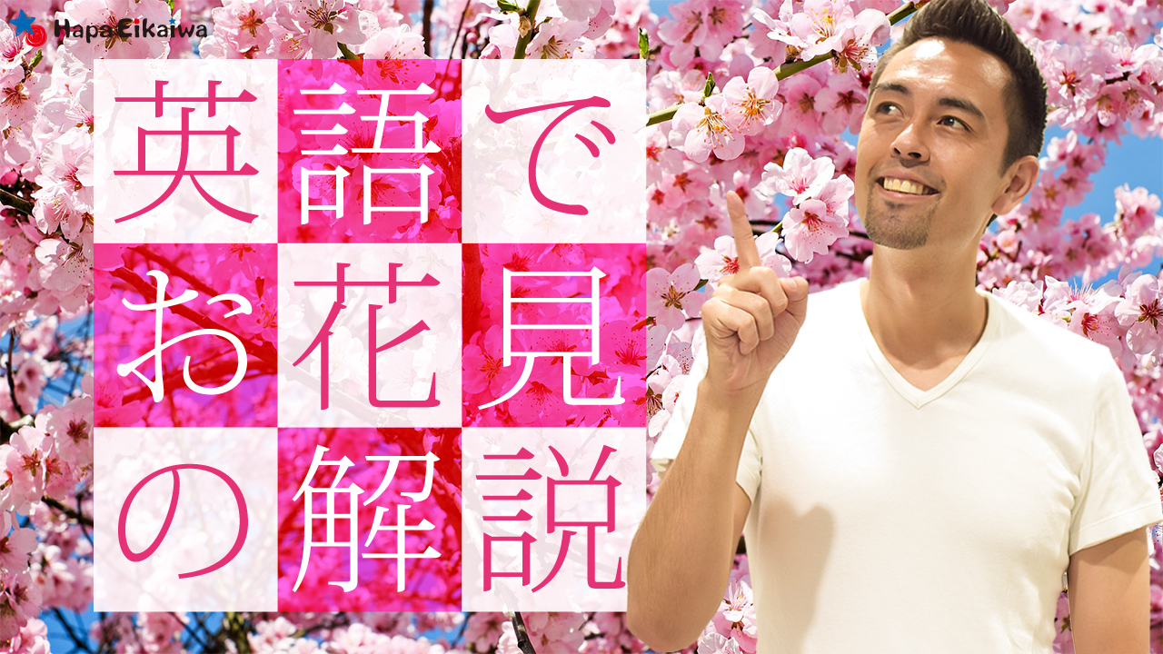 日本の美しい文化 お花見 を英語で説明しよう 英語学習サイト Hapa 英会話